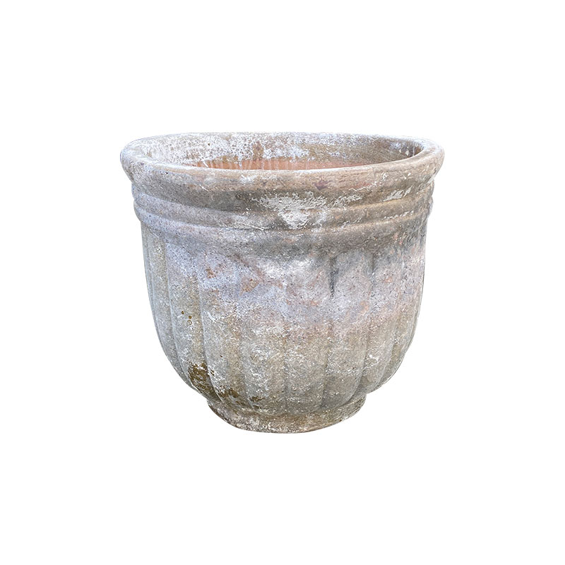 Vàng Đất