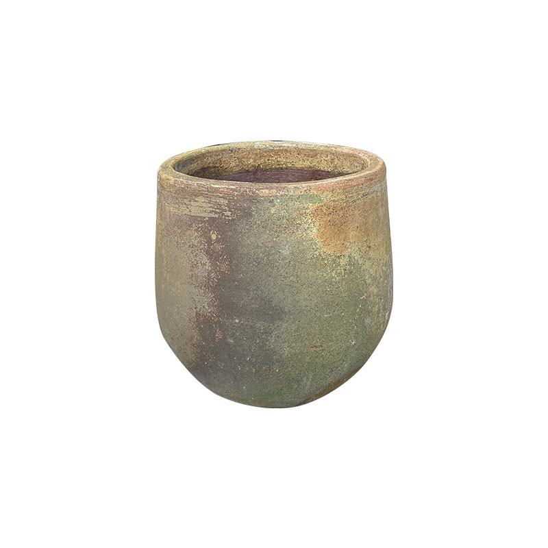 Wax Xanh Rêu